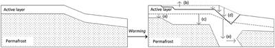 Identifying Barriers to Estimating Carbon Release From Interacting Feedbacks in a Warming Arctic